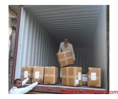 Container Loading Inspection Services