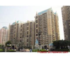 DLF Westend Heights In Gurgaon For Rent – Sector 53