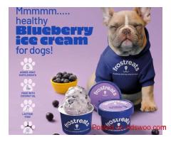 Searching for dog ice cream near me to keep your pup cool this summer?