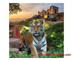 Jaipur Ranthambore Tour Guide for Wildlife and Heritage Enthusiasts