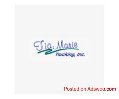 Truck It Transport in Michigan – Powered by Tiamarie Trucking