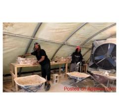 Apprenticeship Philadelphia: Learn Skilled Trades & Earn at PTTI