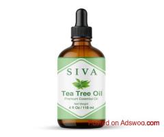 Buy Tea Tree Oil in USA | SIVA Essential Oil