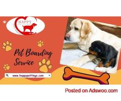 Pet Boarding Service Gurgaon-happypettings