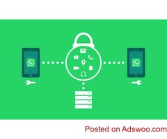 whatsapp mass messages