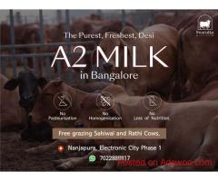 Get Fresh A2 Cow Milk Delivered to Your Doorstep in Electronic City, Bangalore