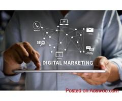 SEO or Google Ads? Choosing the Right Marketing Channel for Your Startup