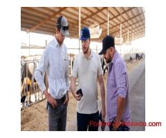 Advanced Software for Milk Barn Management - Cattle Care Inc