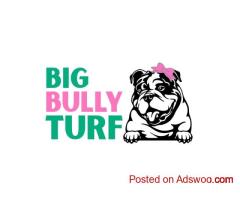 Big Bully Turf