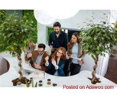 Expert Project Management by Shark Marketing Operations Management