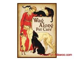 Dog Care Near Me Belmont