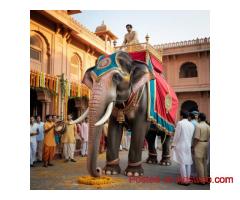 Elephant Services For Weddings