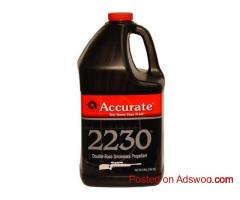 Premium Accurate Gun Powder - Western Reloaders