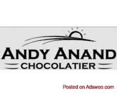 andyanand. com 10% Off Sitewide