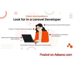 5 Qualities You Should Look for In A Laravel Developer