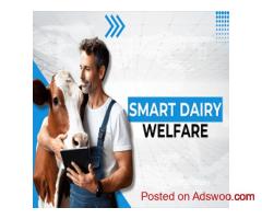 Artificial Intelligence for Dairies | Smart Dairy Solutions by Cattle Care