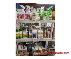 Online Orchid Supplies for Healthy and Thriving Orchid Plants