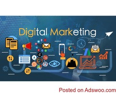 Digital Marketing Agency Gold Coast - Digital Junkies