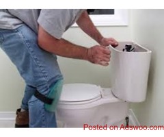 Searching Plumber Hibiscus Coast