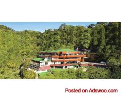 Top Hill Stations Near Delhi for Weekend Getaways