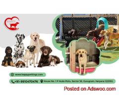 Delhi Pet Boarding Experts | Happypettings