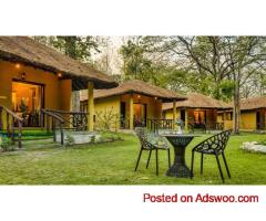 Best Spots for Camping in Jim Corbett with Adventure Activities