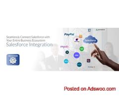 Seamless Salesforce Integration Services by Kandisa Technologies