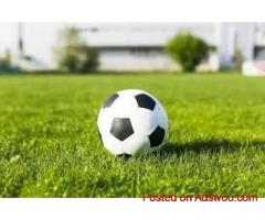 Top Football Turf Manufacturer in Delhi – Contact OSMS Turf