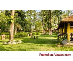 Jungle Cottages in Jim Corbett – Stay Close to Wildlife