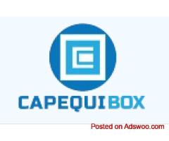High-Performance Aluminium Degassing Equipment for Foundries – CapequiBox