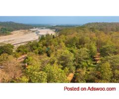 How to Book Bijrani Jungle Cottages for a Memorable Stay