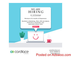 Ui / Ux Developer Jobs in Kerala