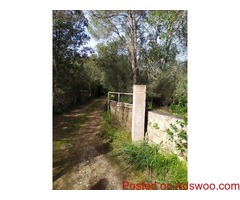 23,000M2 PLOT IN SENCELLES, PERFECT LOCATION AND FEATURES 230,000EUR