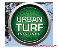 Look for Artificial Grass Schools