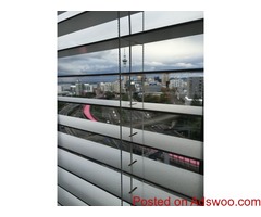 Shades or Roller Blinds Auckland