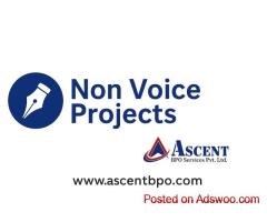 Non voice Projects