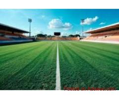 Experienced Cricket Turf Manufacturer - Contact Us