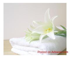 Buy Cam Border Bath Towel – Soft & Durable Hotel Towels