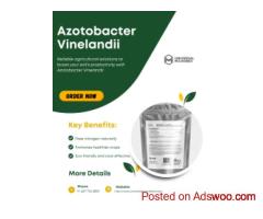 Maximize Your Harvest with Azotobacter Vinelandii – Order Now!
