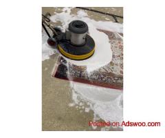 Professional Rug Cleaning Services in Coral Gables