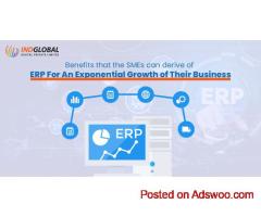 Custom ERP Service providers in Dubai
