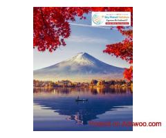 Tokyo to Kyoto Travel Smart with Japan Tour Packages