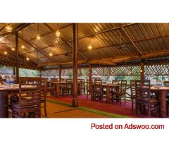 Jungle Resort in Jim Corbett – Where Comfort Meets Adventure!