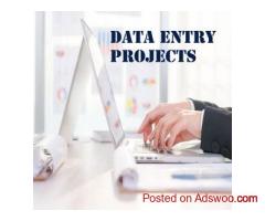 Top Data Entry Projects Provider