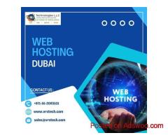 Which Website Hosting Dubai Plan Fits You Best?