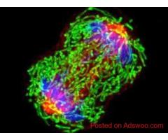 Best Molecular Oncologist in Gurgaon