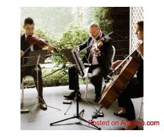 String Quartet Live Classical Music for Every Event