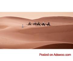 Sahara Desert Tours Morocco | Uniquely Morocco