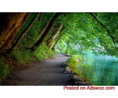 Top Tourist Places to Visit in Kerala in December for a Memorable Trip
