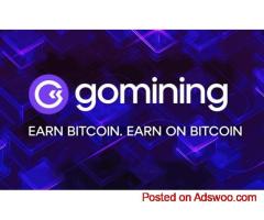 gomining.com 7% off over US$150.00